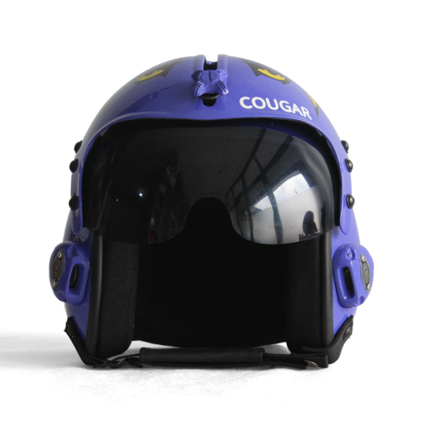 hgu 33 top gun cougar flight helmet movie prop of usn united states navy pilot aviator v.2